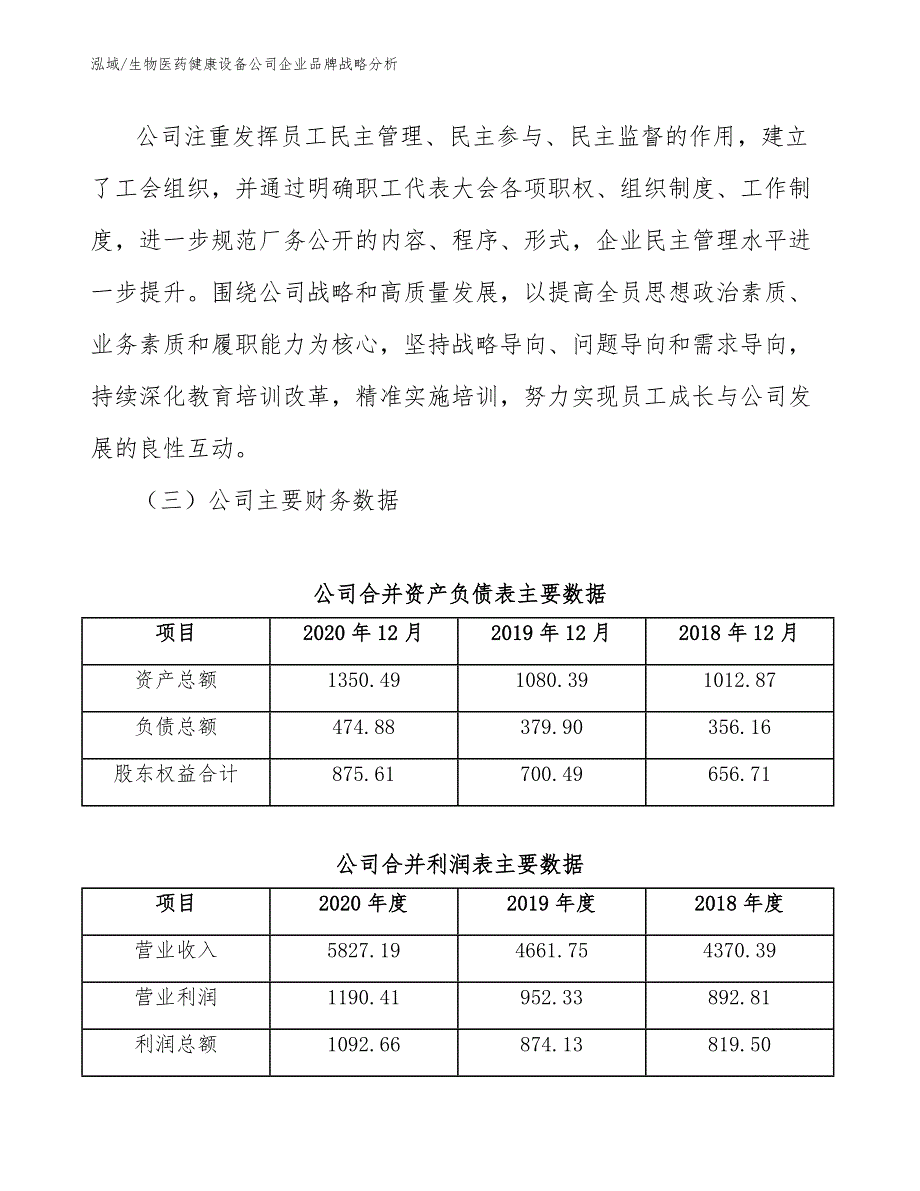 生物医药健康设备公司企业品牌战略分析_第3页