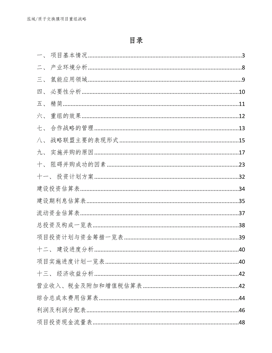 质子交换膜项目重组战略_范文_第2页