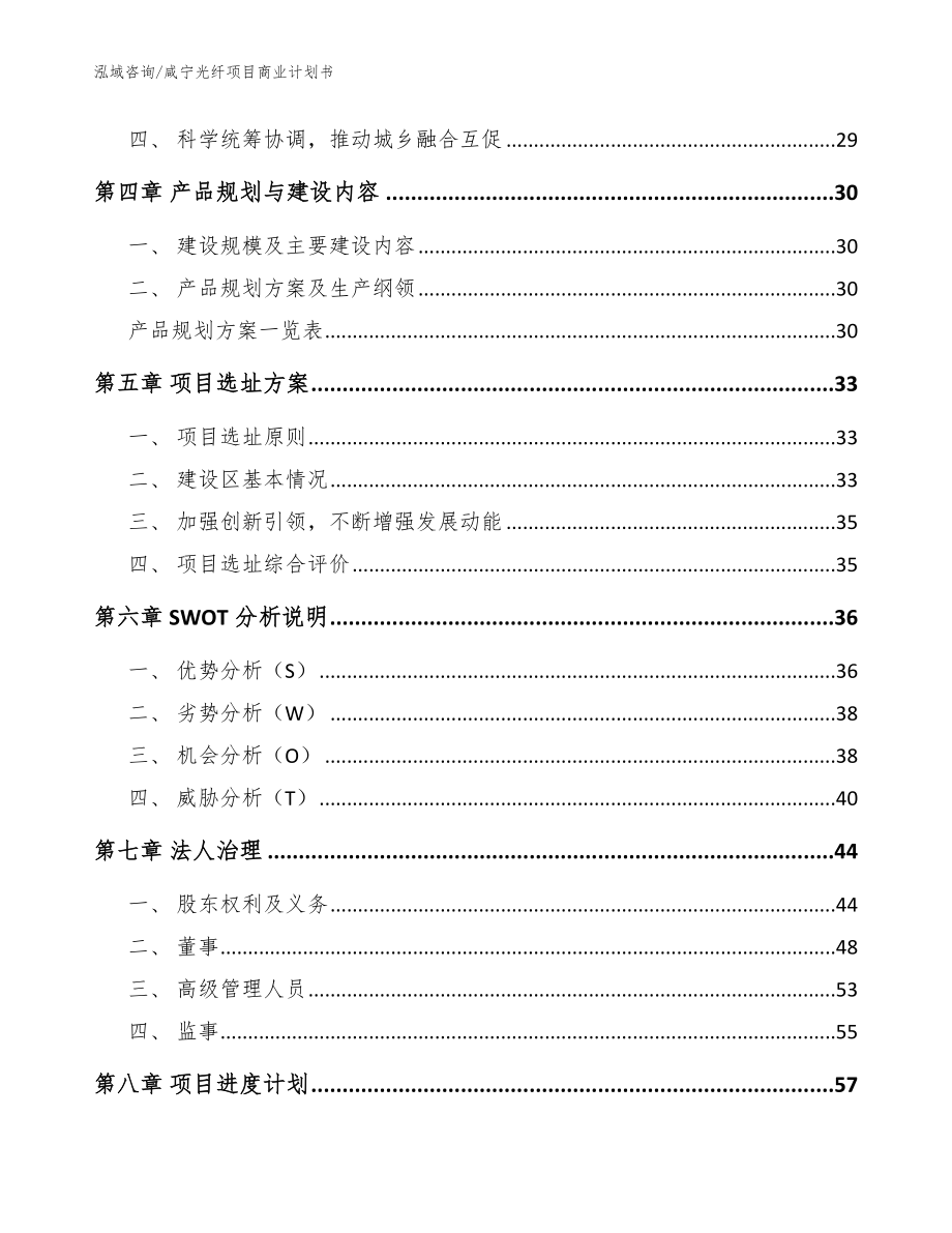 咸宁光纤项目商业计划书_第2页