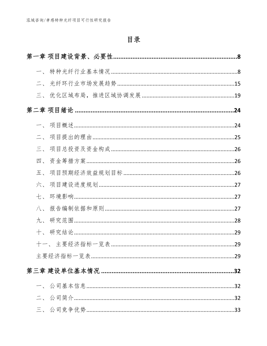 孝感特种光纤项目可行性研究报告_第2页