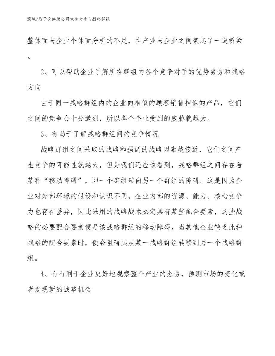 质子交换膜公司竞争对手与战略群组【范文】_第5页