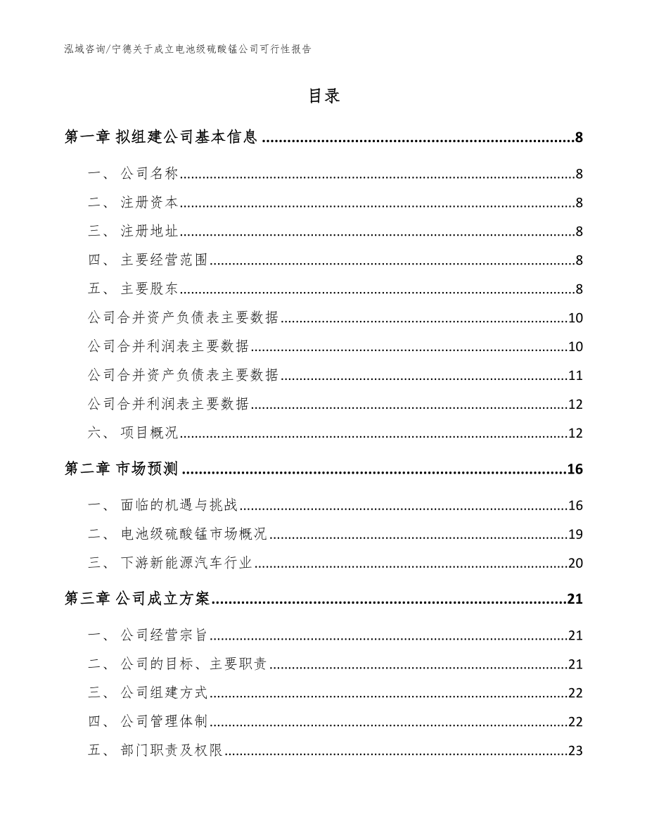 宁德关于成立电池级硫酸锰公司可行性报告参考模板_第2页