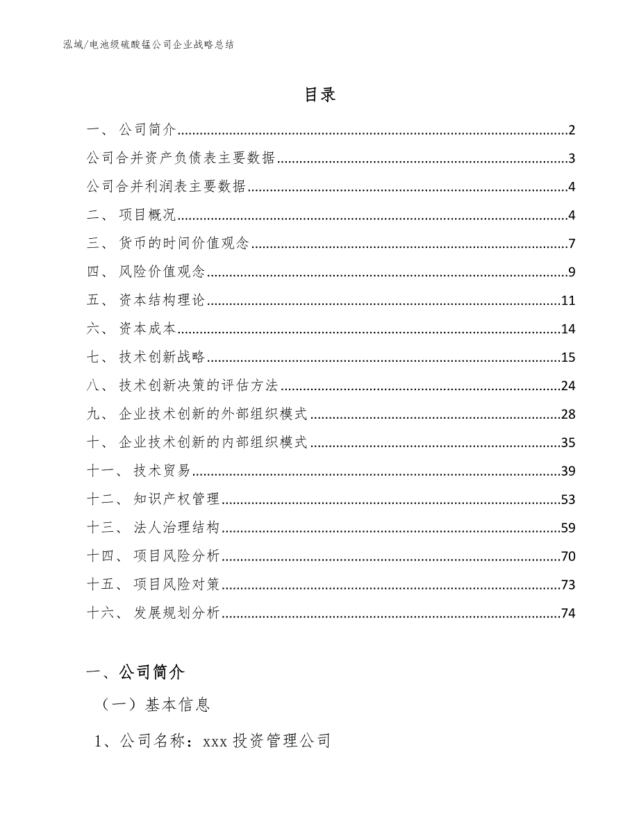 电池级硫酸锰公司企业战略总结_参考_第2页