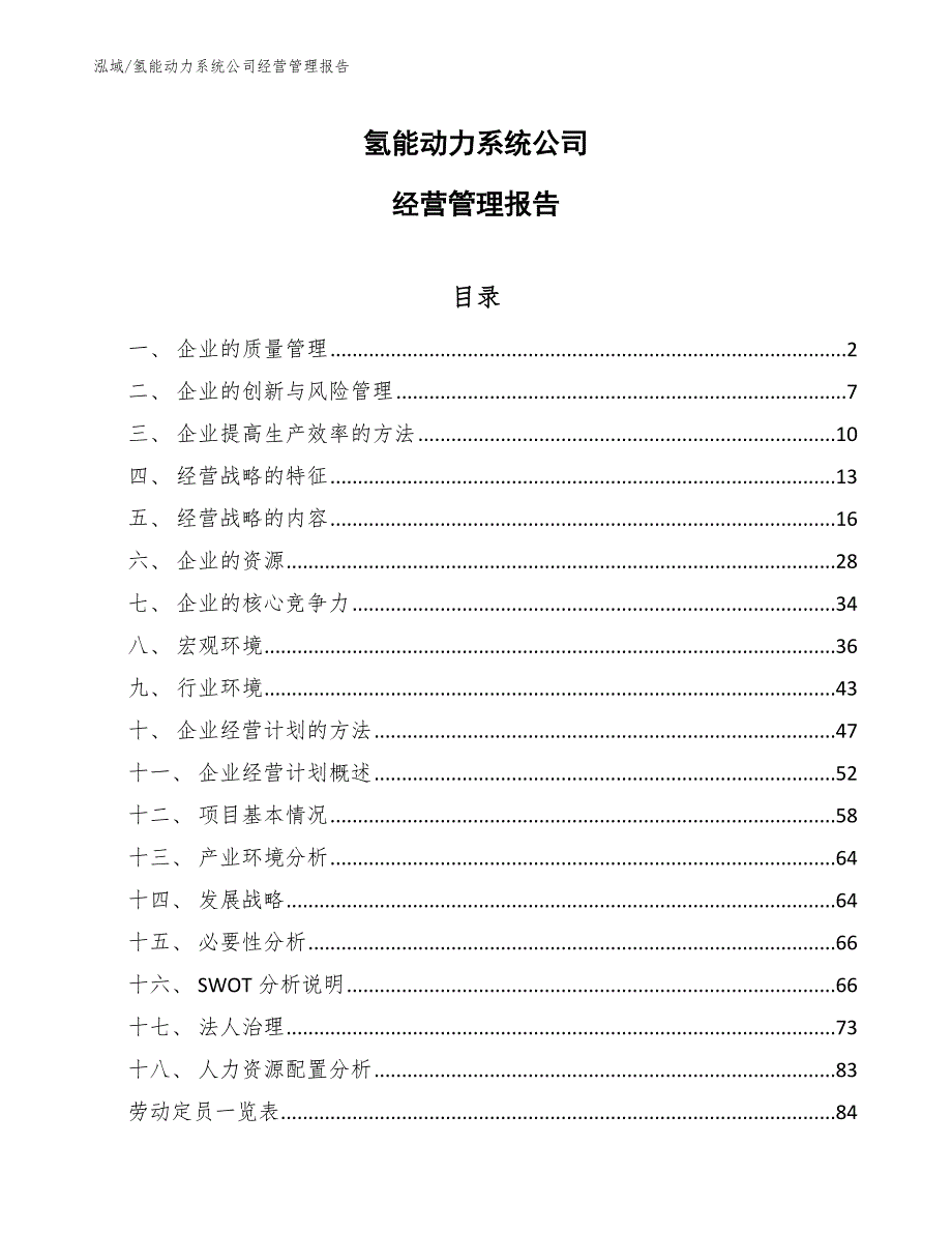 氢能动力系统公司经营管理报告_第1页