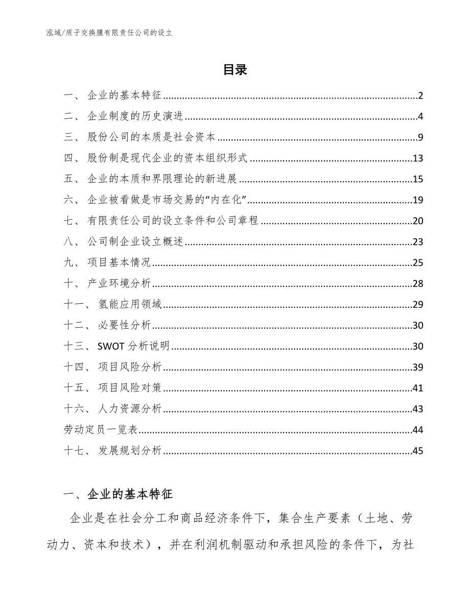 质子交换膜有限责任公司的设立_范文_第2页