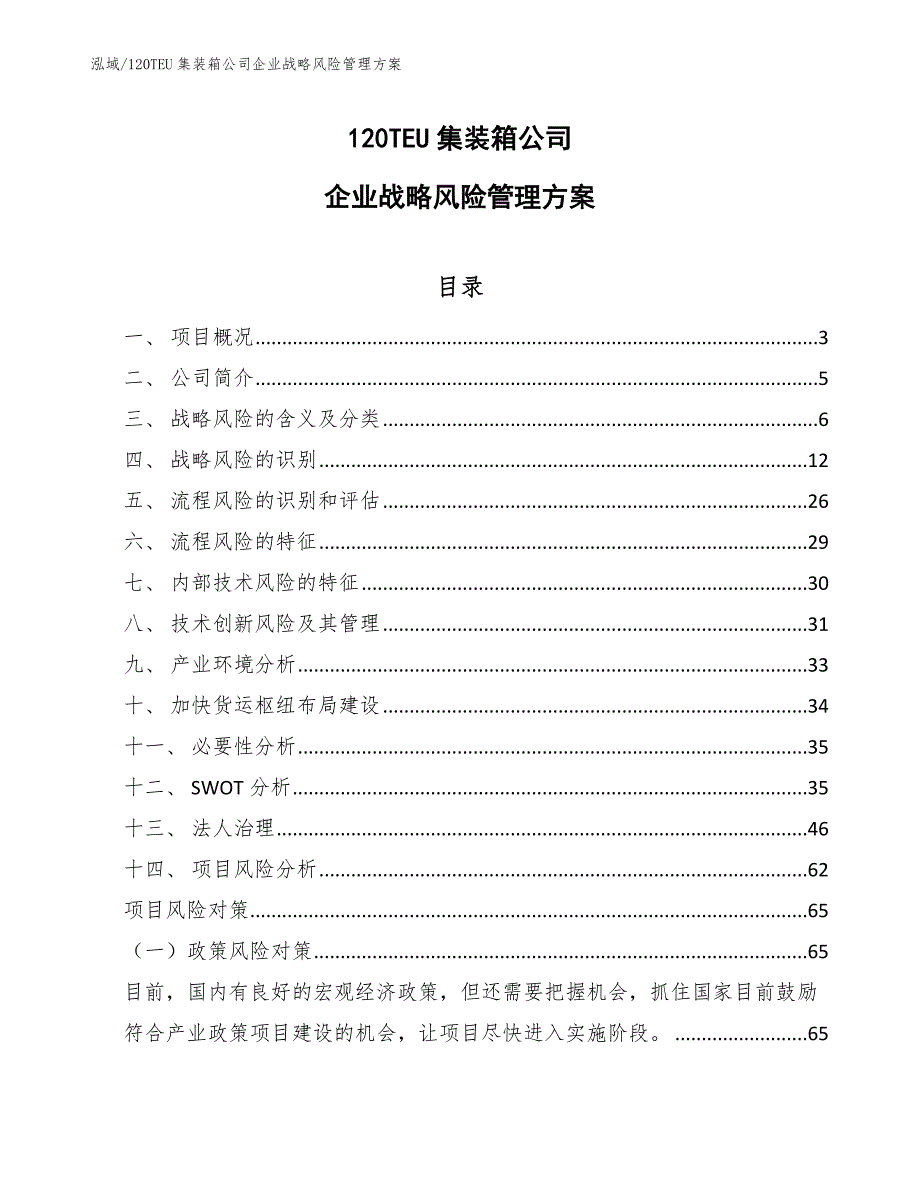 120TEU集装箱公司企业战略风险管理方案【参考】_第1页