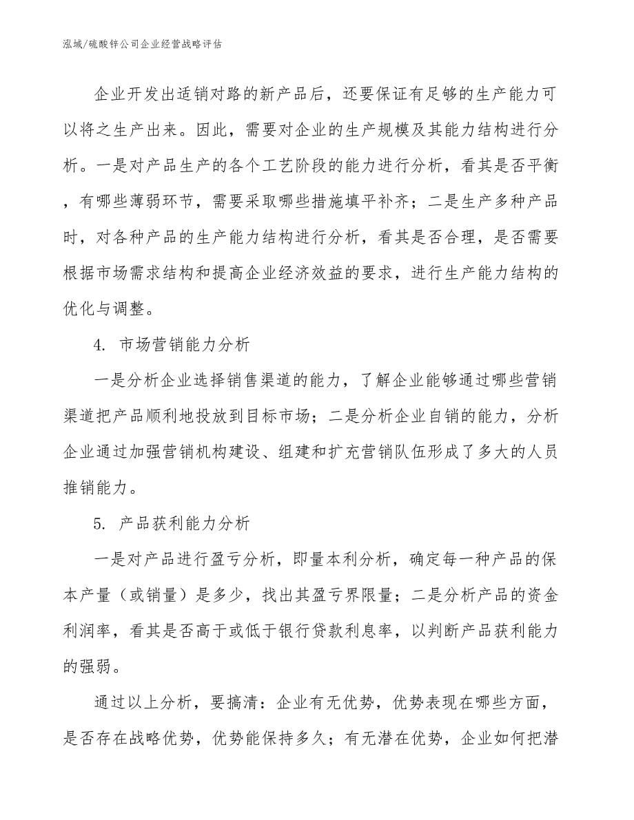 硫酸锌公司企业经营战略评估_范文_第5页