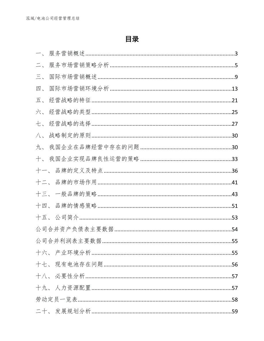 电池公司经营管理总结_第2页