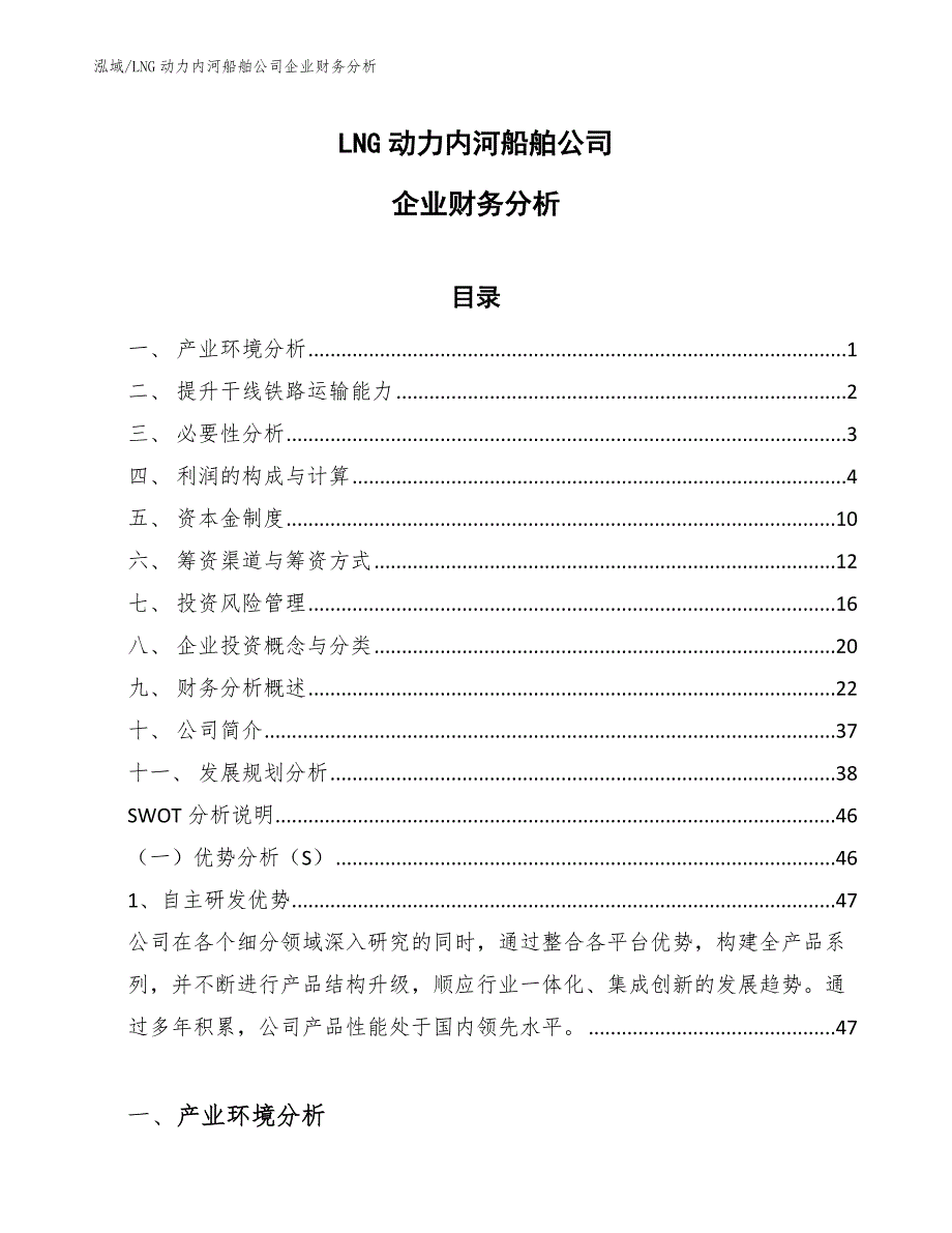 LNG动力内河船舶公司企业财务分析_第1页