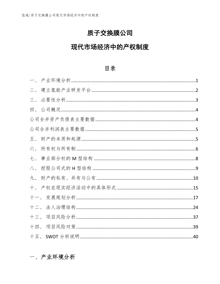 质子交换膜公司现代市场经济中的产权制度_第1页