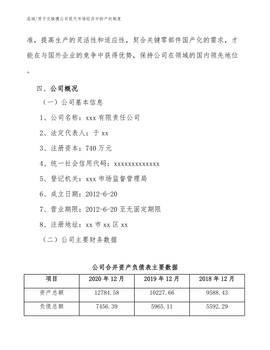 质子交换膜公司现代市场经济中的产权制度_第4页