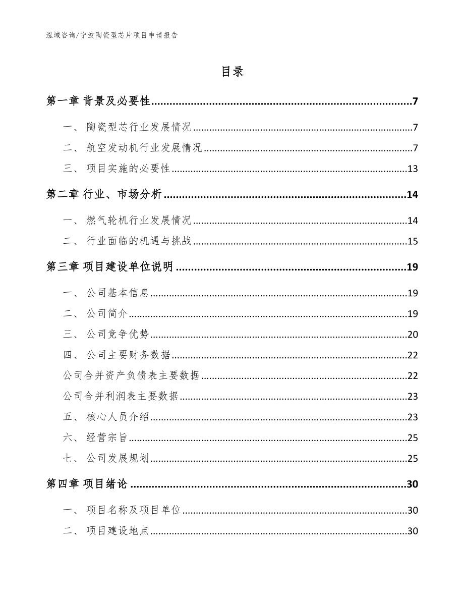 宁波陶瓷型芯片项目申请报告（模板）_第1页