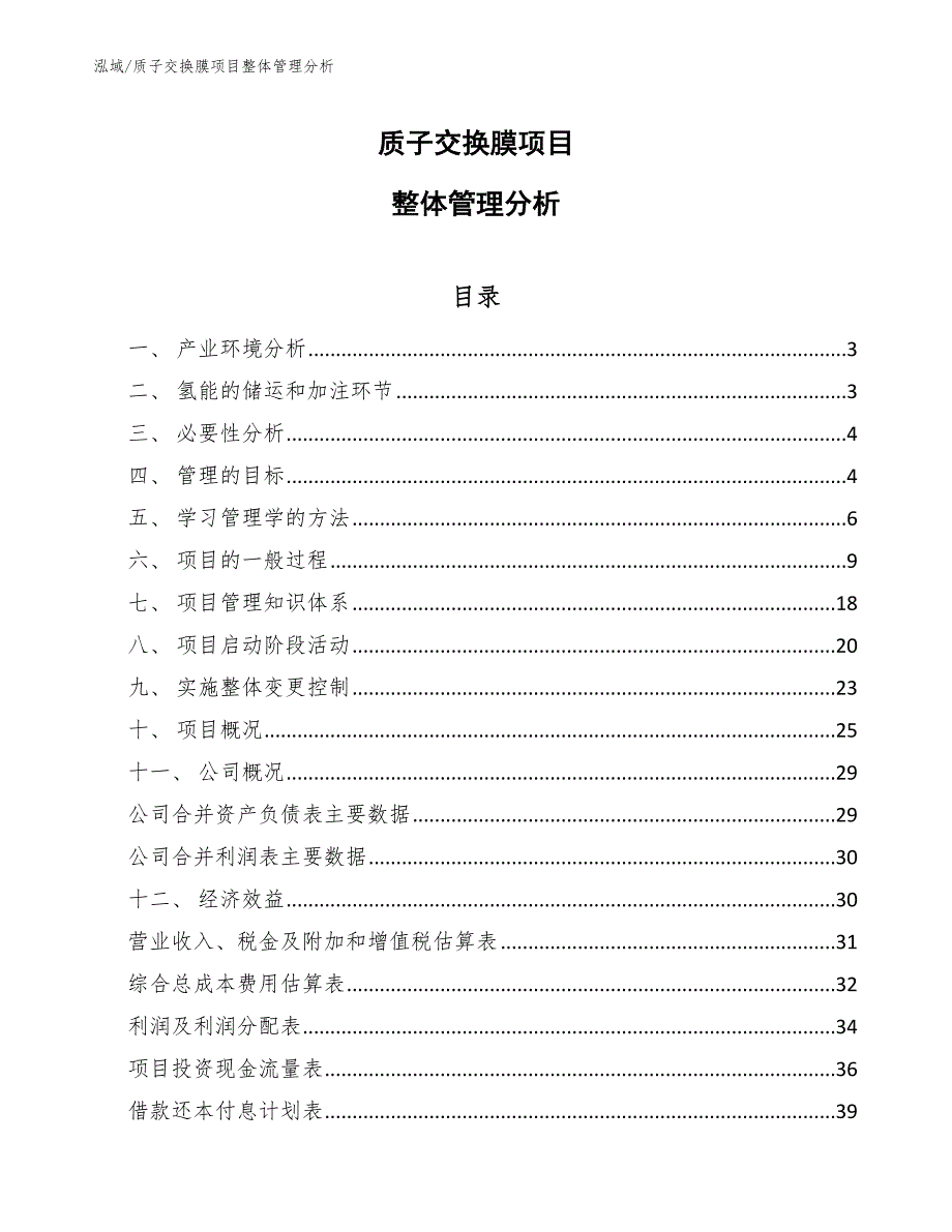 质子交换膜项目整体管理分析_范文_第1页