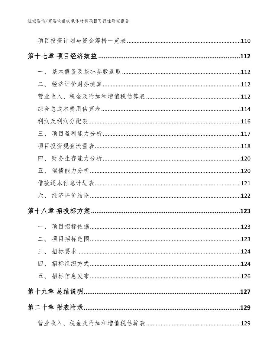 商洛软磁铁氧体材料项目可行性研究报告模板范文_第5页