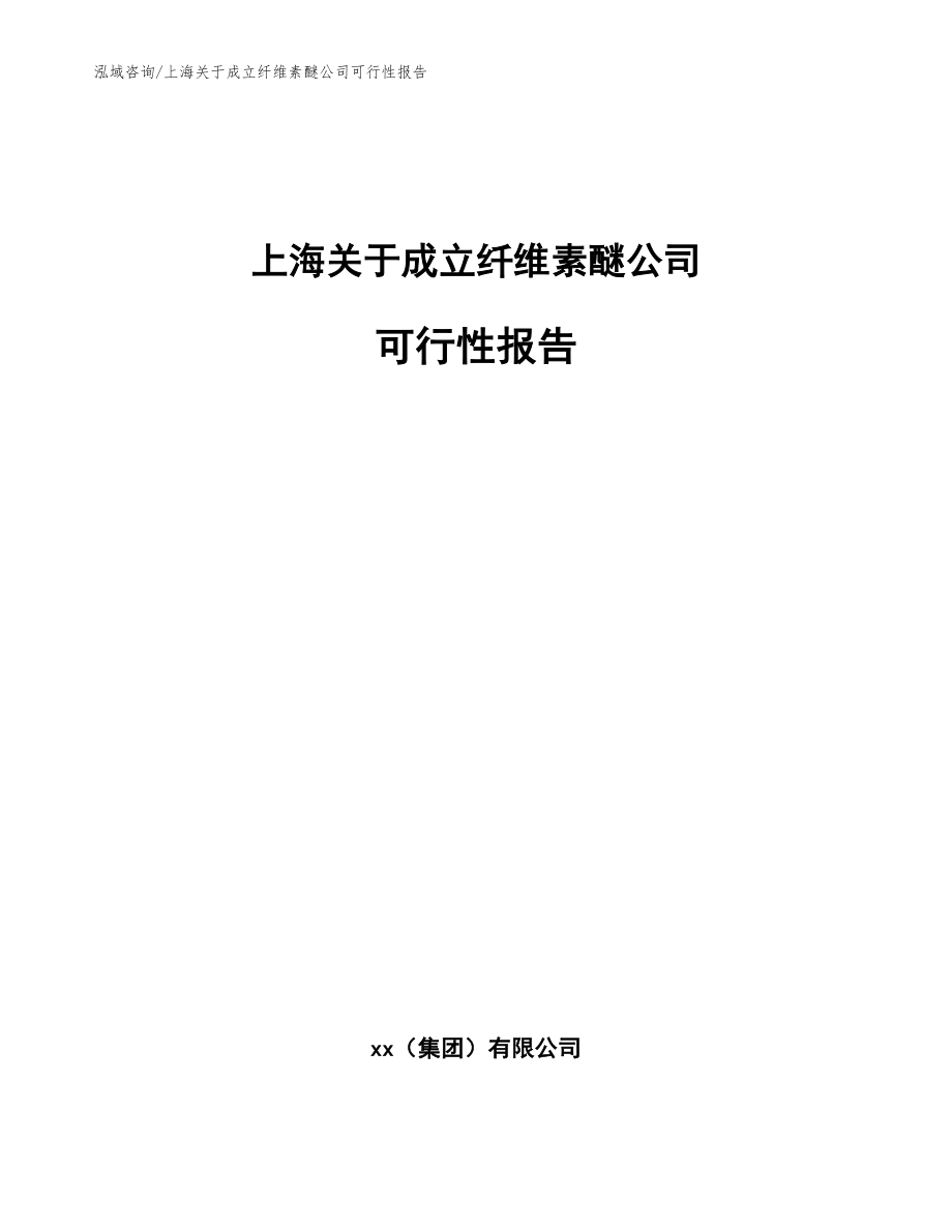 上海关于成立纤维素醚公司可行性报告（模板参考）_第1页