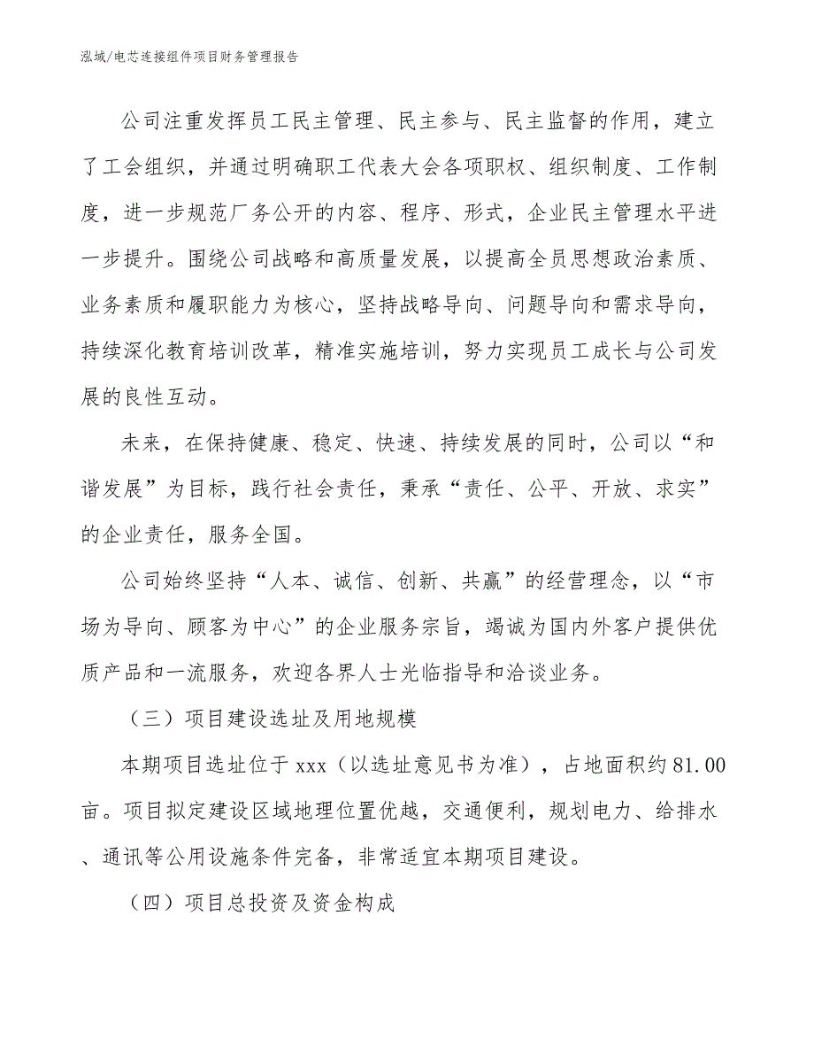 电芯连接组件项目财务管理报告（参考）_第4页