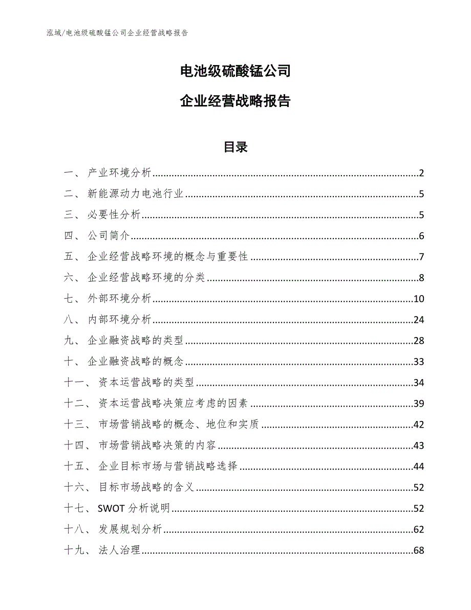 电池级硫酸锰公司企业经营战略报告_第1页