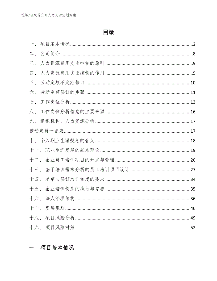 硫酸锌公司人力资源规划方案_第2页