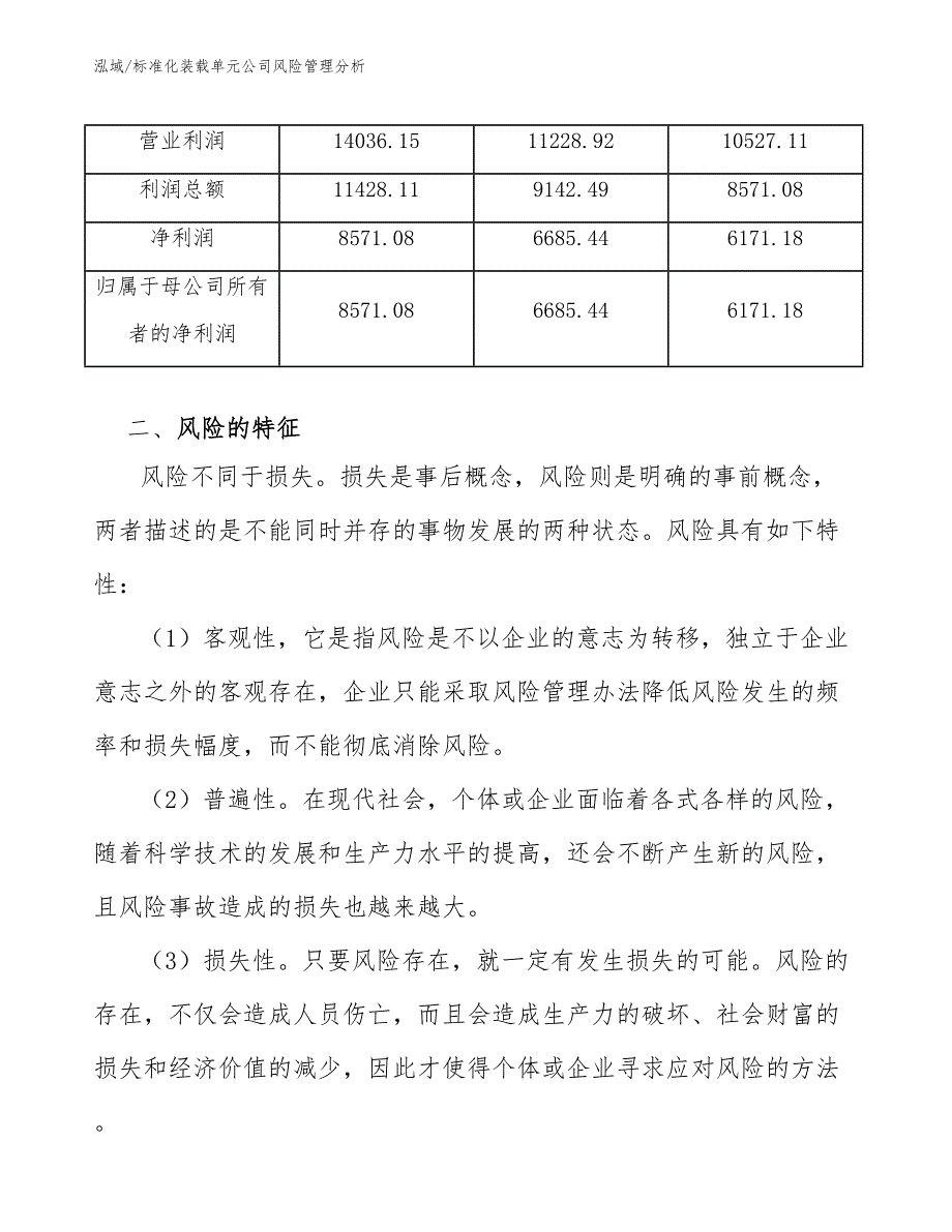 标准化装载单元公司风险管理分析_第4页