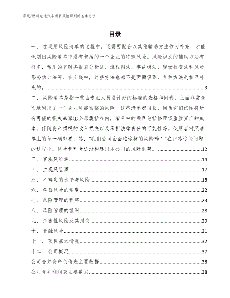 燃料电池汽车项目风险识别的基本方法（范文）_第2页