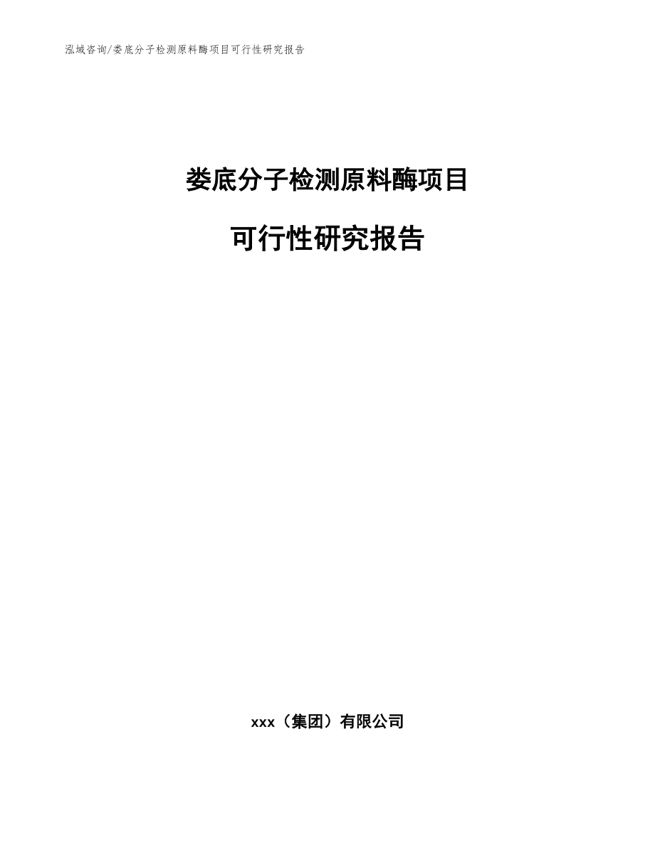 娄底分子检测原料酶项目可行性研究报告参考范文_第1页