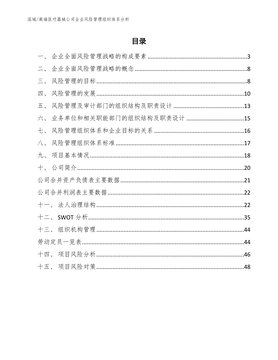 高端医疗器械公司企业风险管理组织体系分析（范文）_第2页