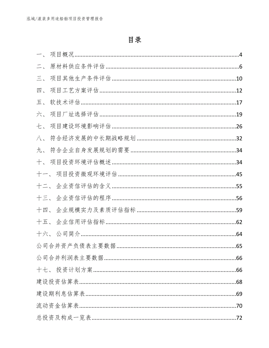 滚装多用途船舶项目投资管理报告_第2页