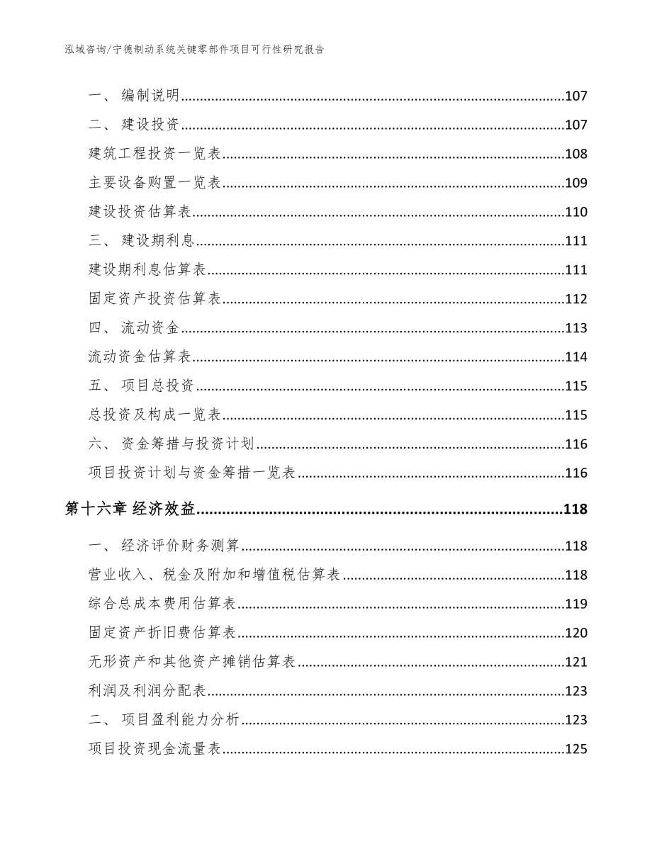 宁德制动系统关键零部件项目可行性研究报告_第5页