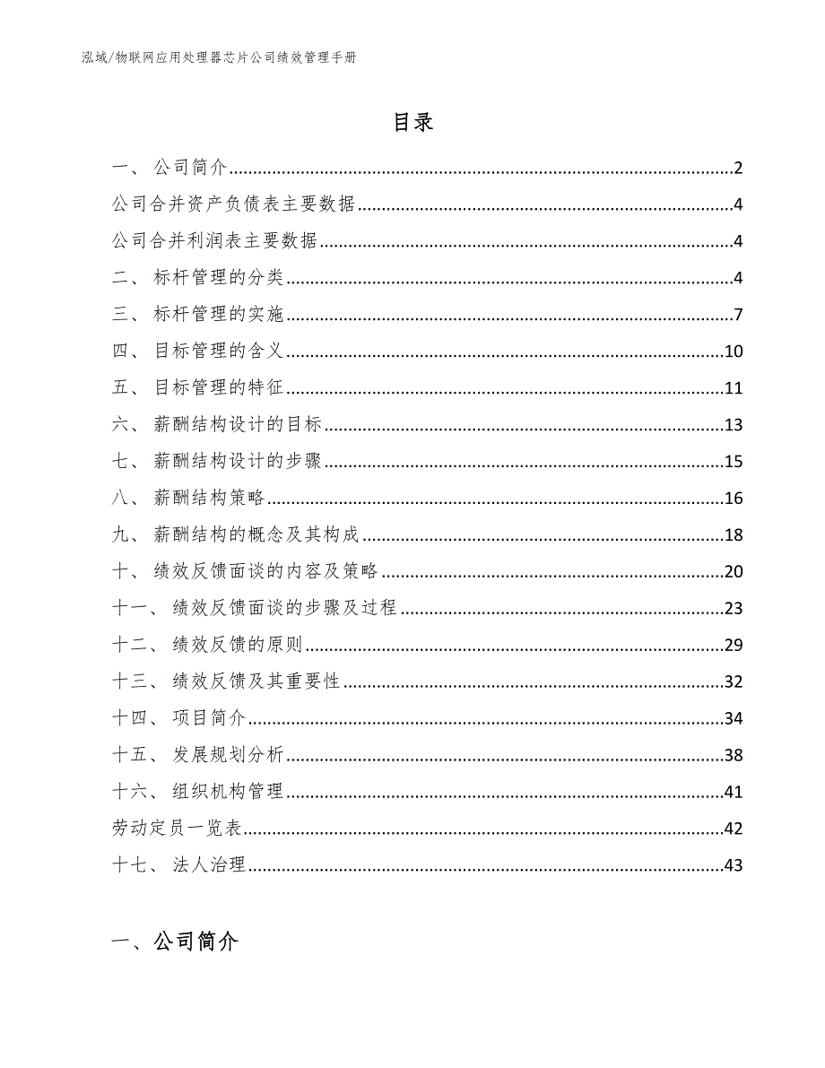 物联网应用处理器芯片公司绩效管理手册_范文_第2页