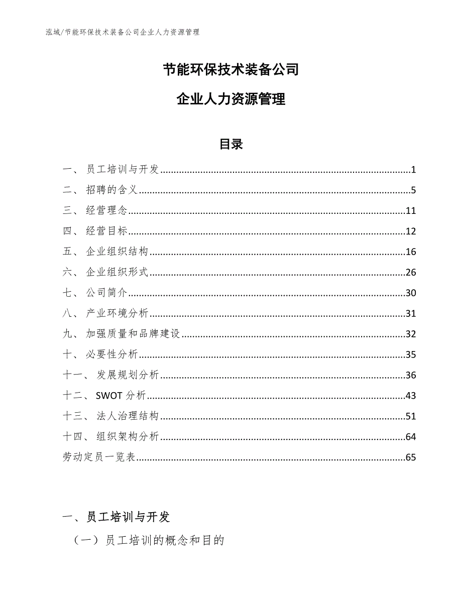 节能环保技术装备公司企业人力资源管理【参考】_第1页