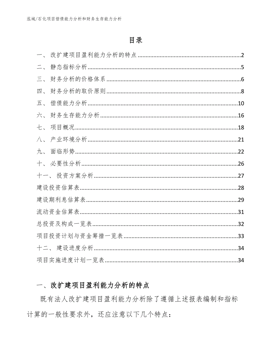 石化项目偿债能力分析和财务生存能力分析_第2页