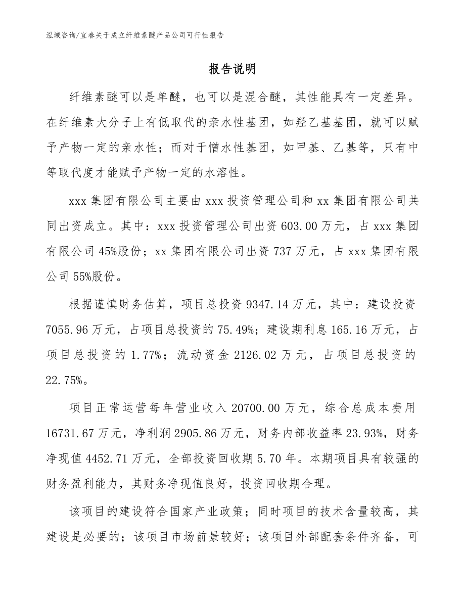 宜春关于成立纤维素醚产品公司可行性报告模板参考_第2页