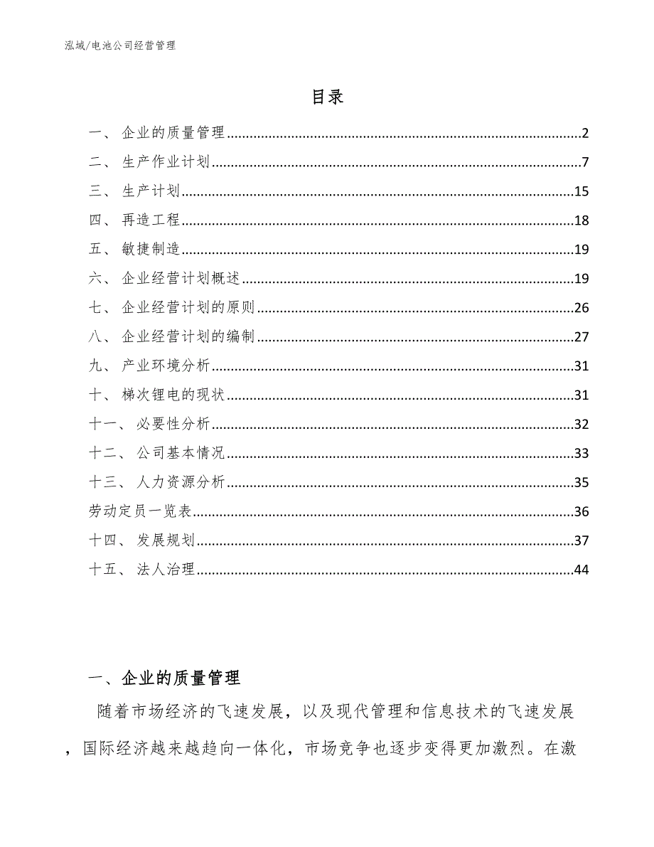 电池公司经营管理（范文）_第2页