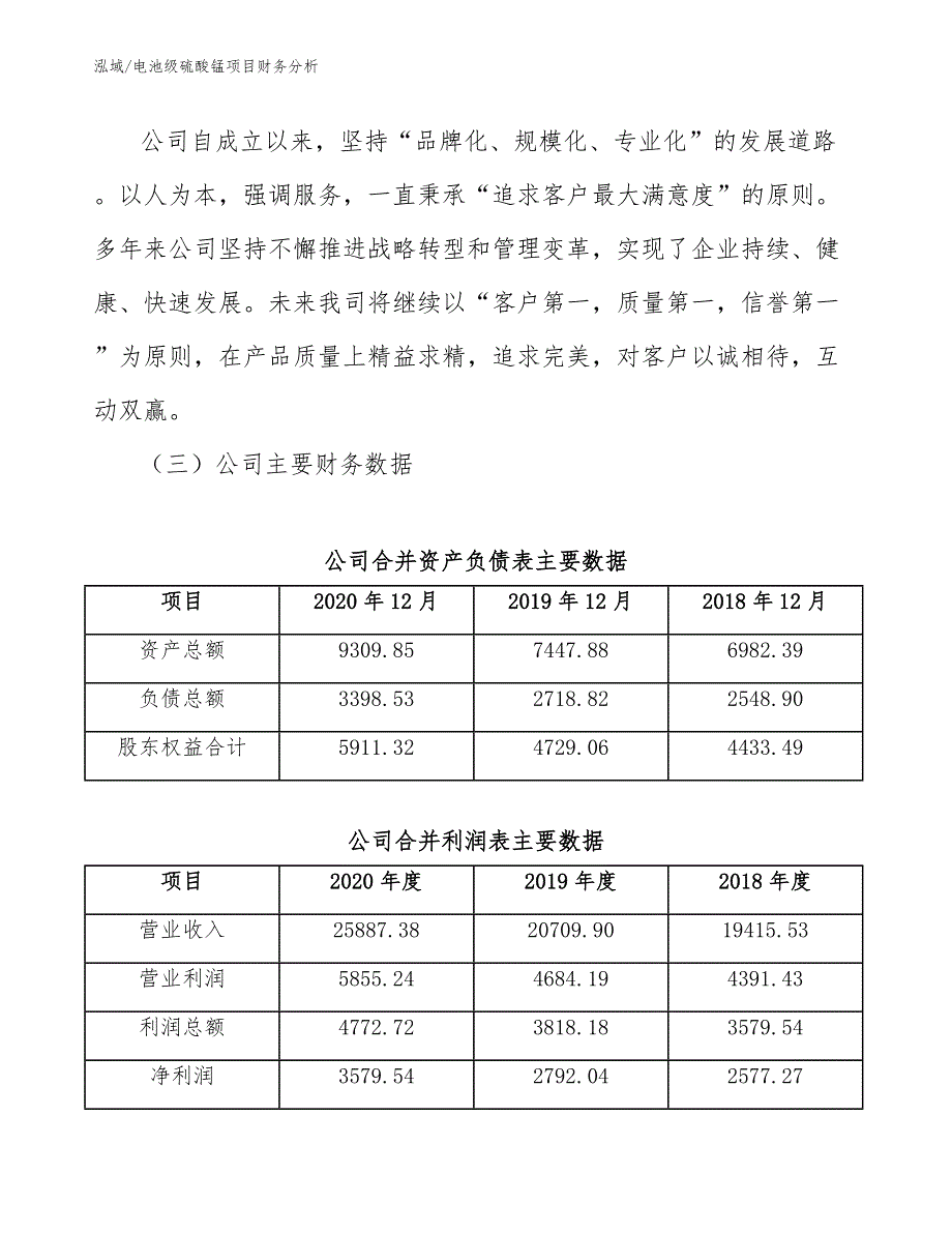 电池级硫酸锰项目财务分析【参考】_第4页