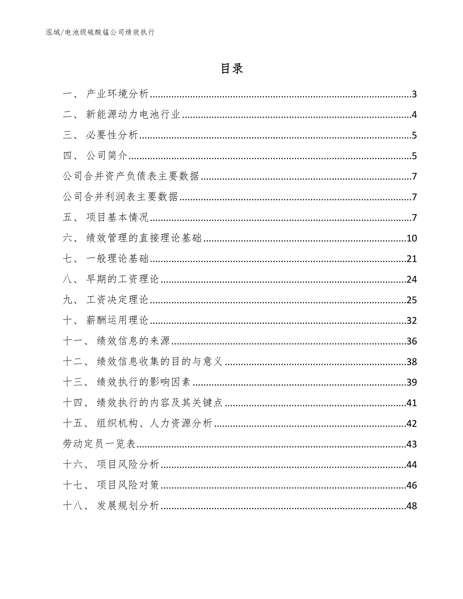 电池级硫酸锰公司绩效执行_第2页