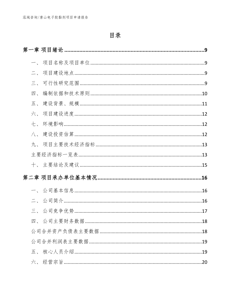 唐山电子胶黏剂项目申请报告_第1页