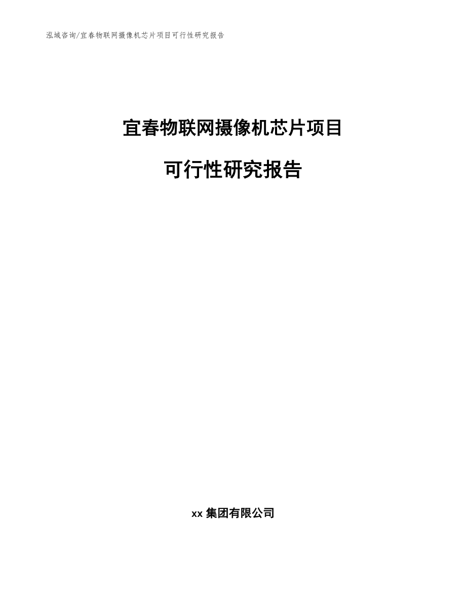 宜春物联网摄像机芯片项目可行性研究报告【模板范本】_第1页