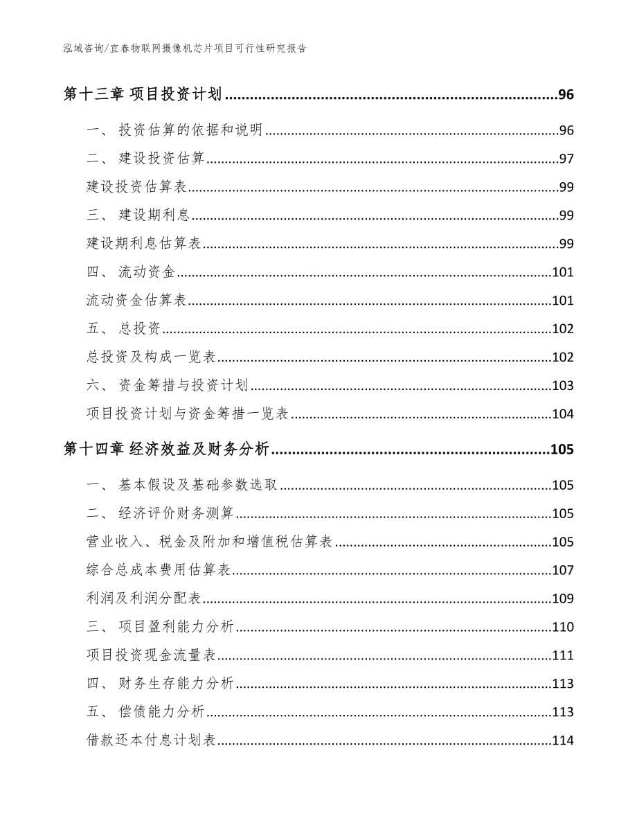 宜春物联网摄像机芯片项目可行性研究报告【模板范本】_第5页