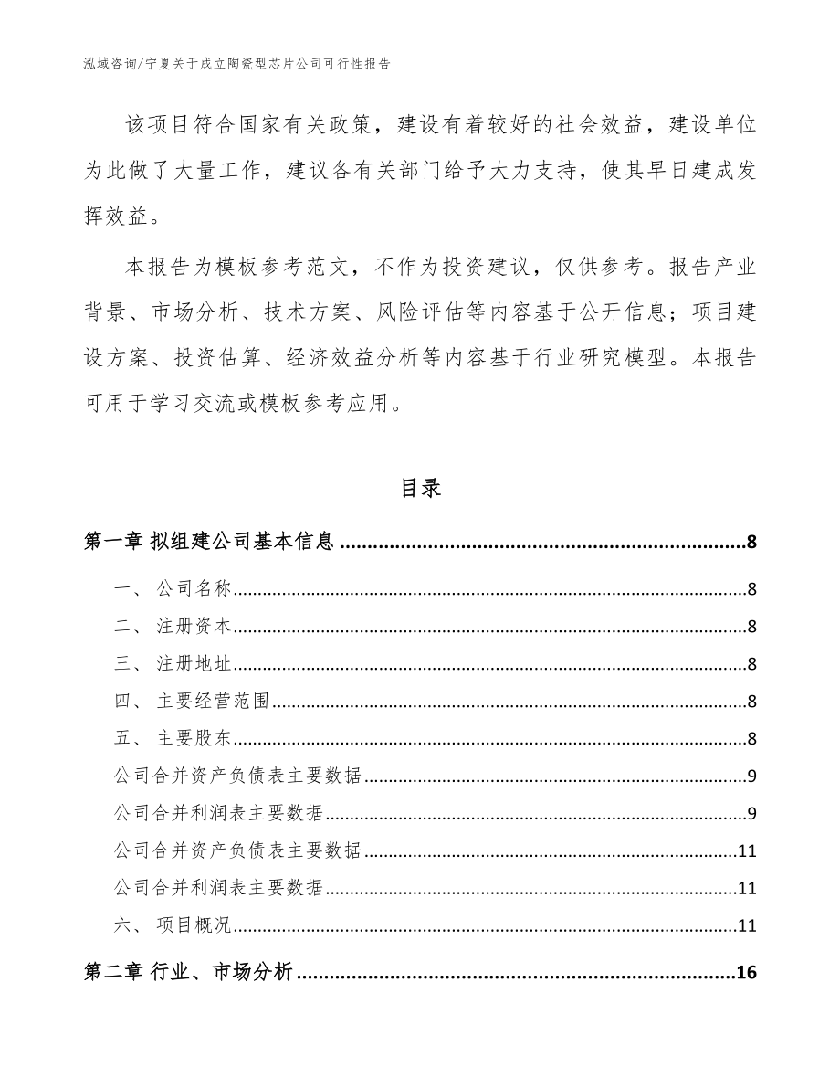 宁夏关于成立陶瓷型芯片公司可行性报告_第3页