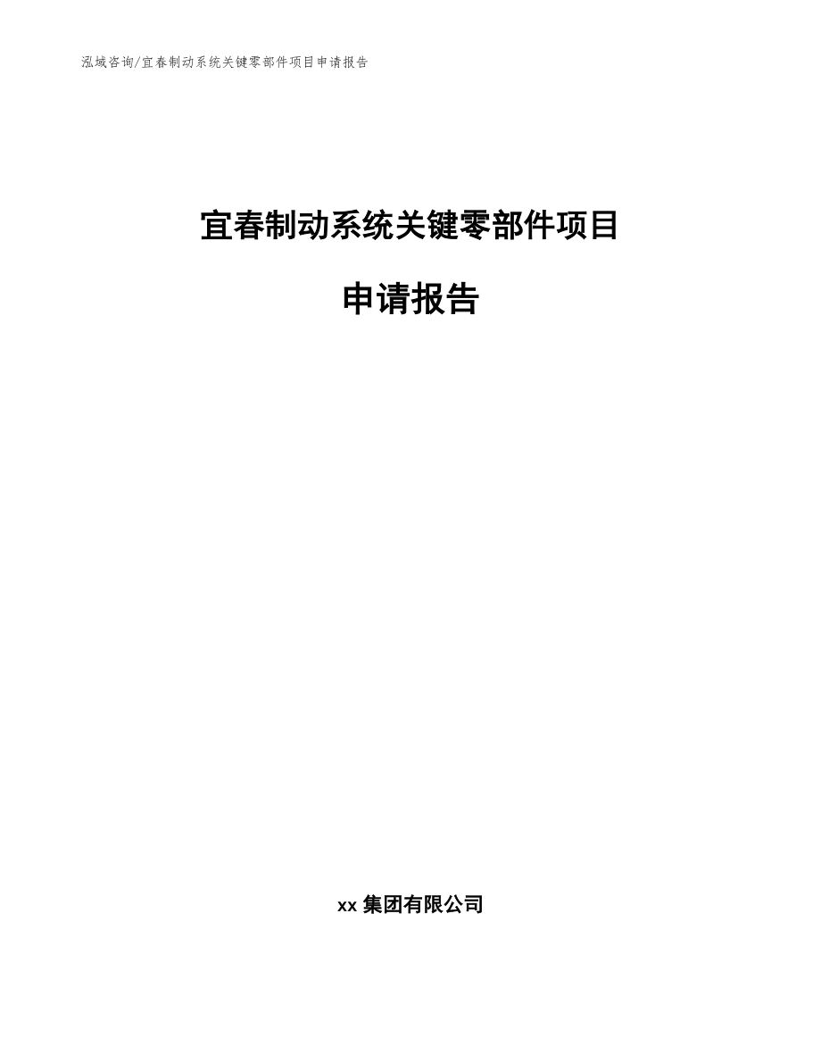 宜春制动系统关键零部件项目申请报告（范文参考）_第1页