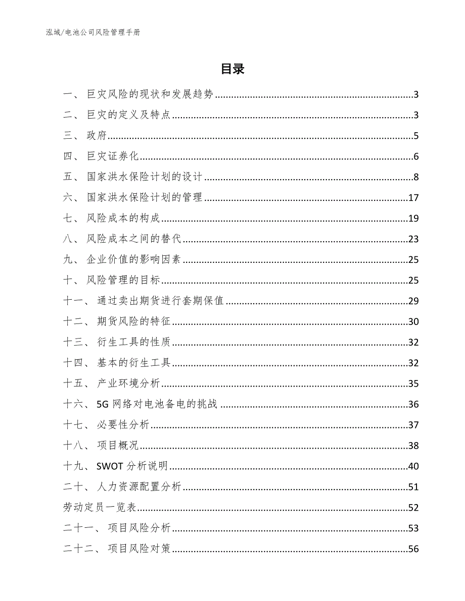 电池公司风险管理手册【参考】_第2页