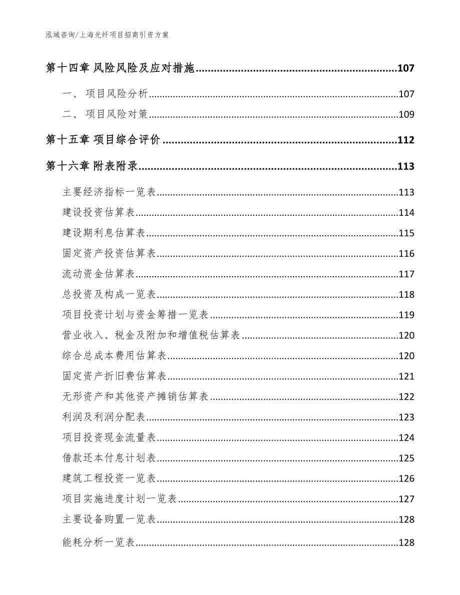 上海光纤项目招商引资方案_参考范文_第5页