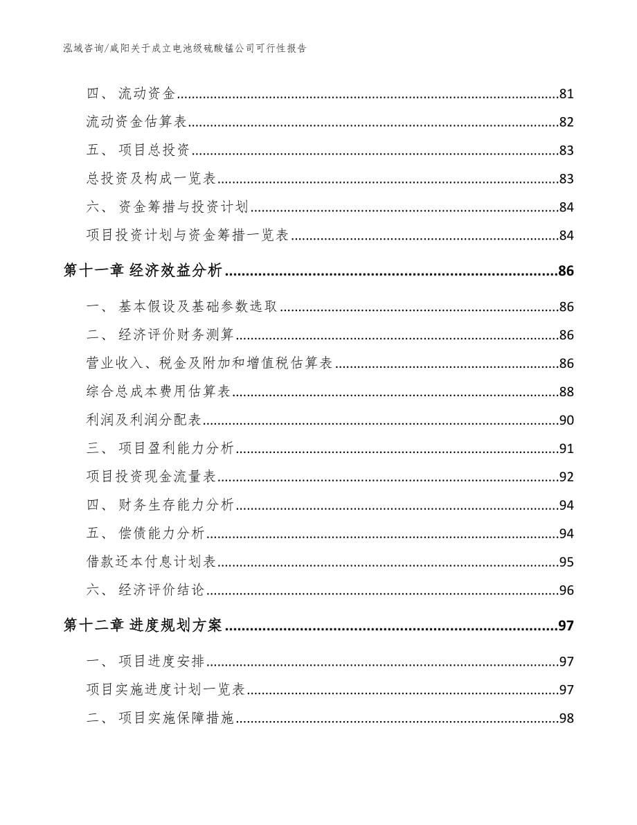 咸阳关于成立电池级硫酸锰公司可行性报告【模板范文】_第5页