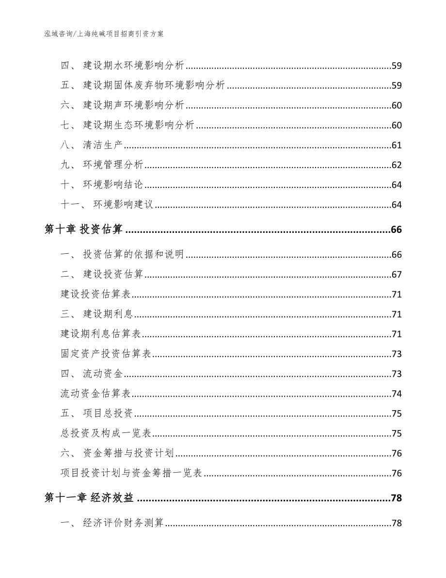 上海纯碱项目招商引资方案（模板范本）_第5页