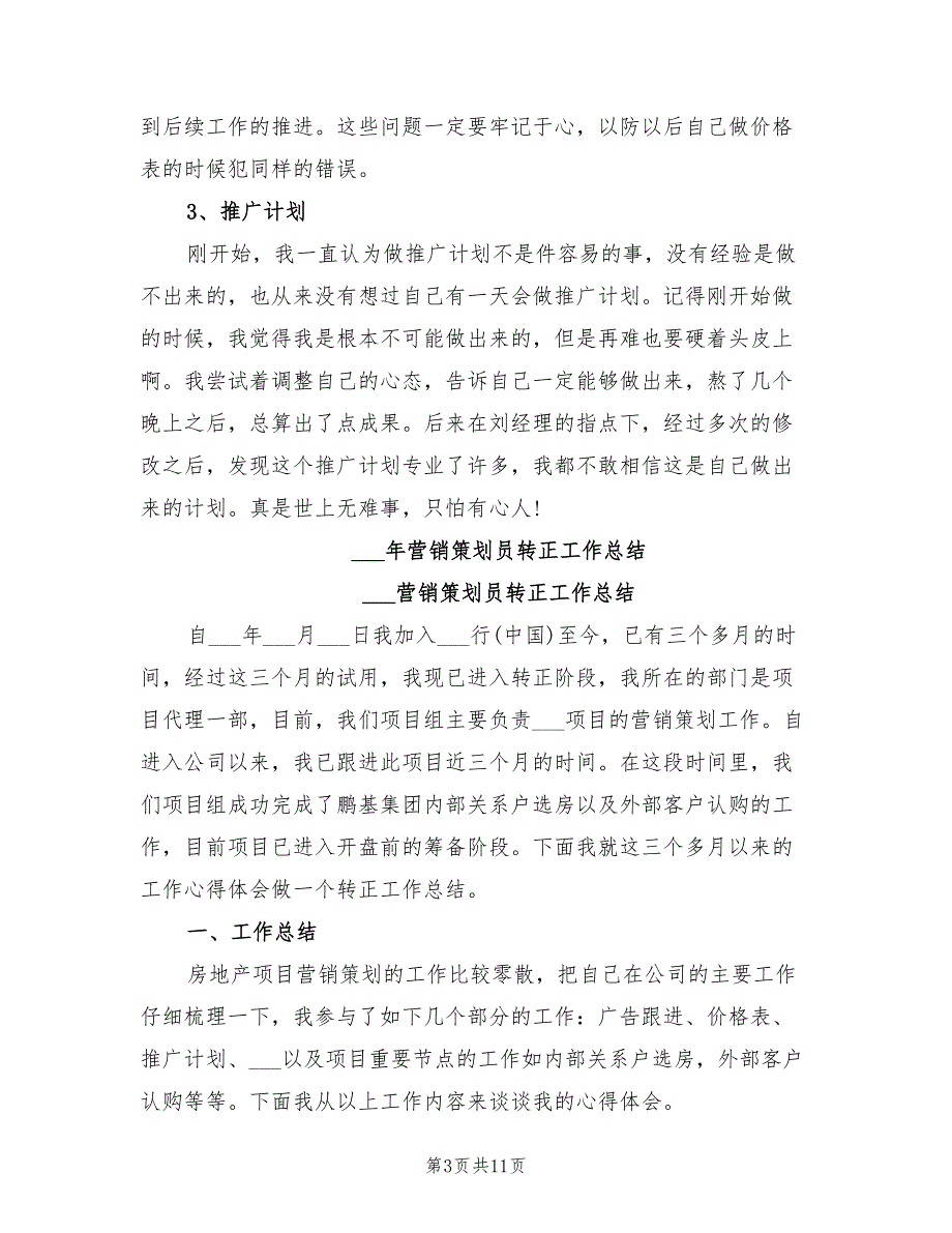 年营销策划员试用期转正工作总结范文_第3页