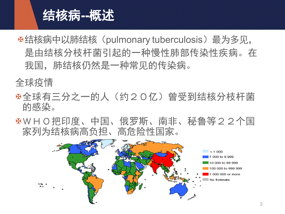 结核病营养治疗ppt课件_第3页