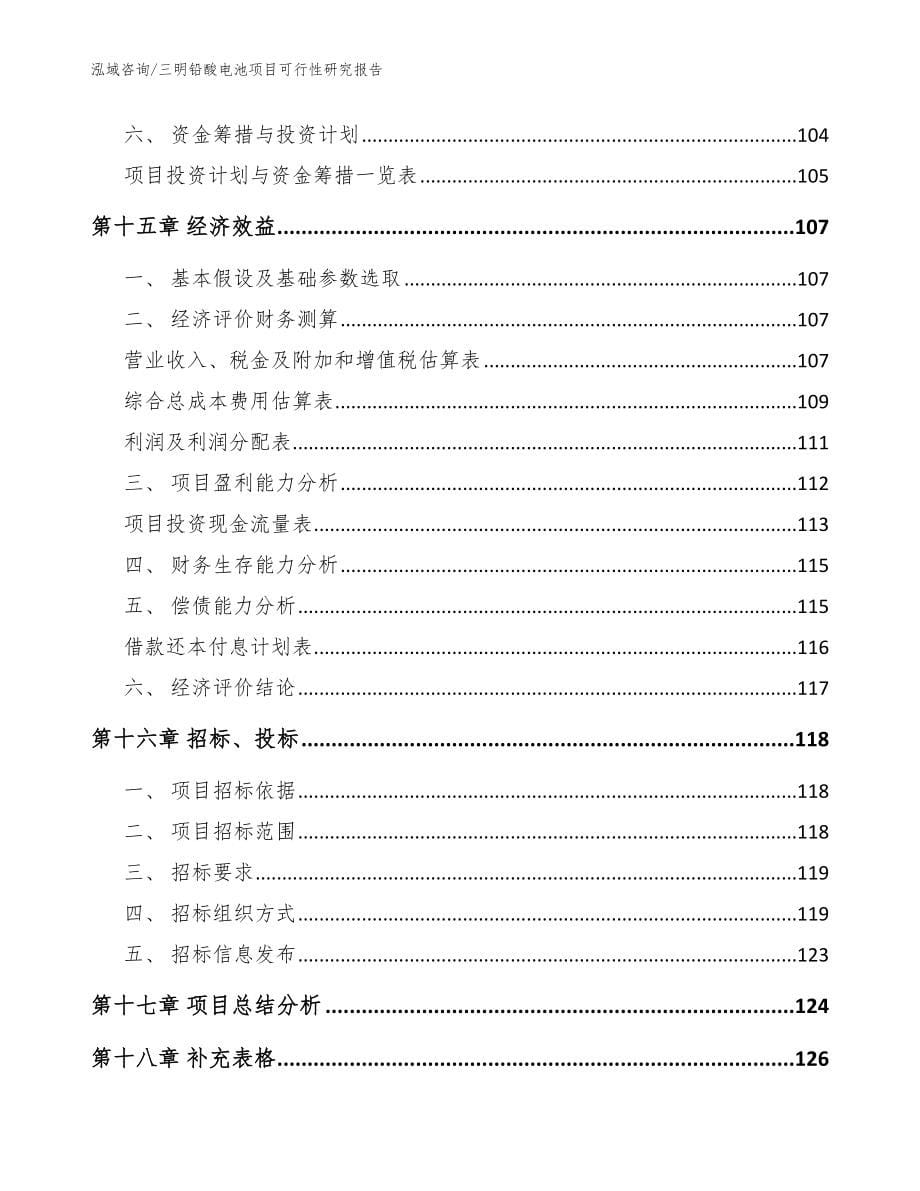 三明铅酸电池项目可行性研究报告_模板_第5页