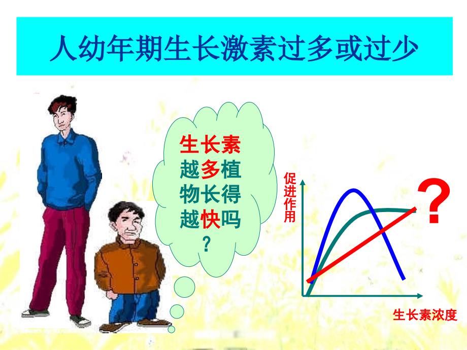 生长素生理作用课件_第1页