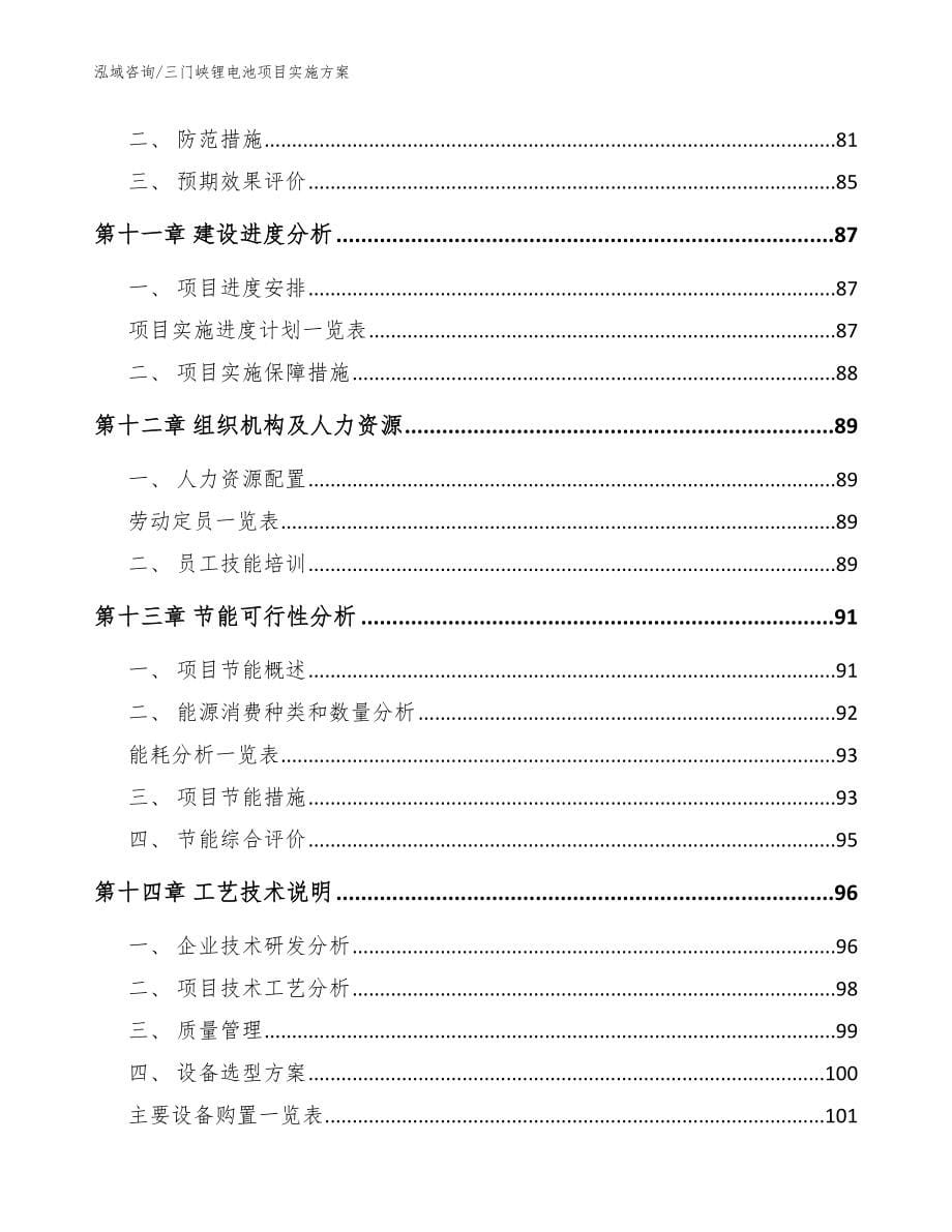 三门峡锂电池项目实施方案_第5页