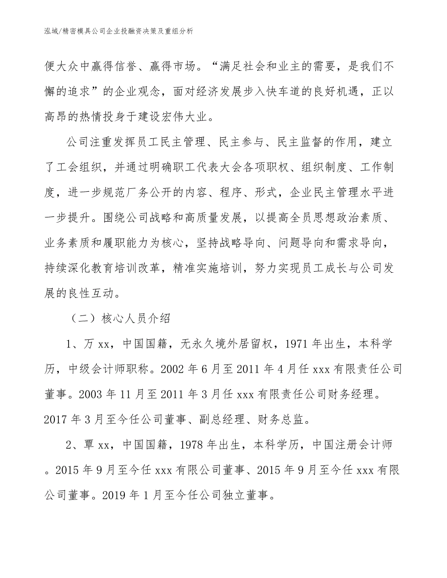 精密模具公司企业投融资决策及重组分析_第2页